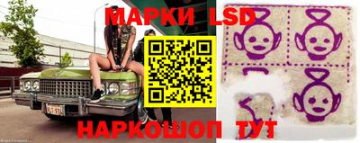 гидропоника Кингисепп
