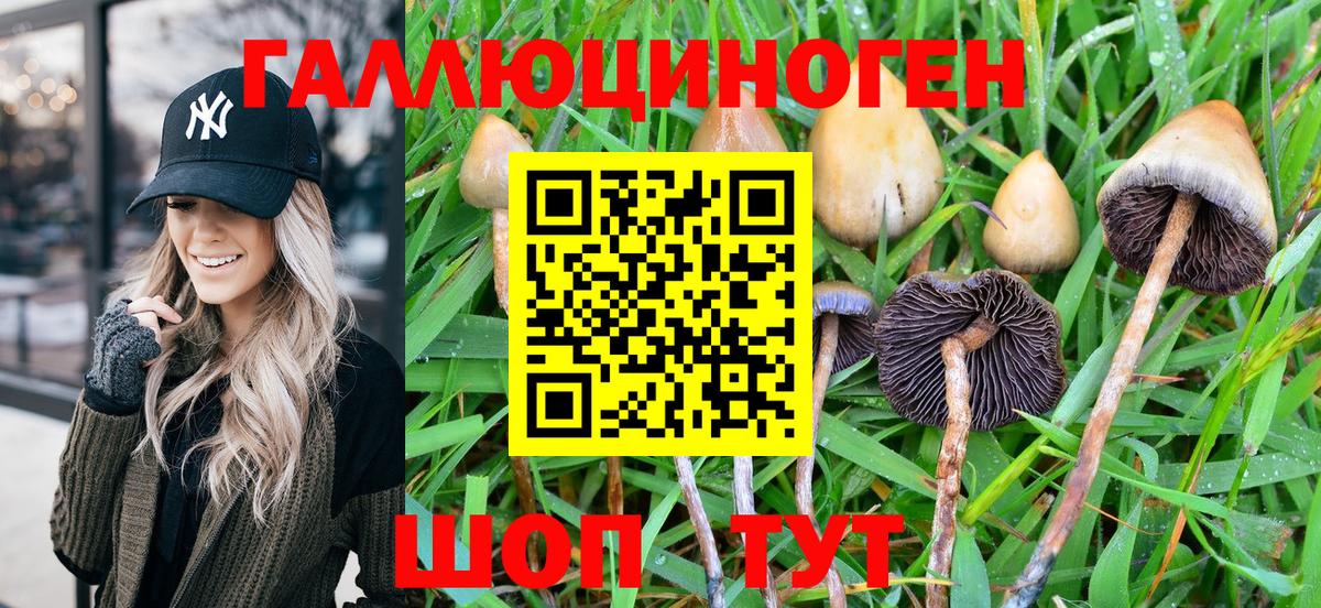 Галлюциногенные грибы MAGIC MUSHROOMS  Вход с VPN  Когалым 