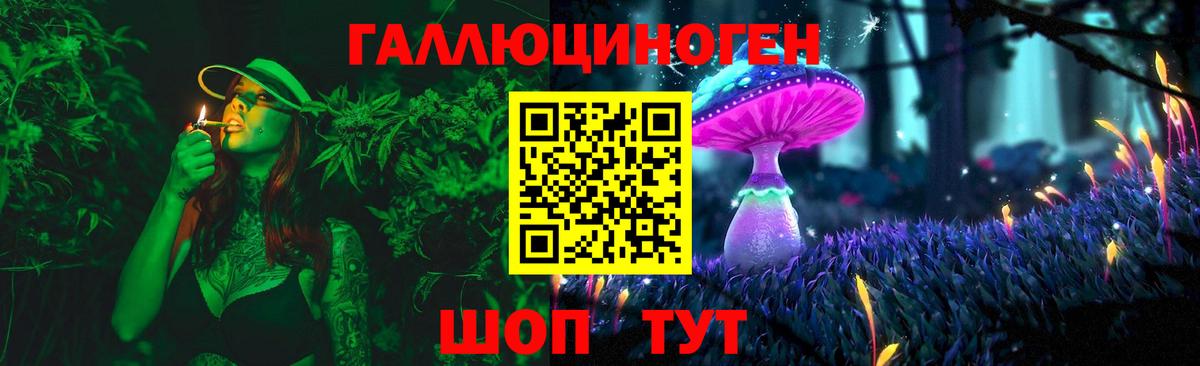 Галлюциногенные грибы Psilocybe Когалым